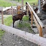 Farm stay Teglbauernhof, Huette, Chalet, Mobilheim, Appartement, Ferienwohnung, Pension, Urlaub Uttendorf