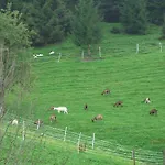 Farm stay Teglbauernhof, Huette, Chalet, Mobilheim, Appartement, Ferienwohnung, Pension, Urlaub Uttendorf
