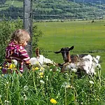 Teglbauernhof, Huette, Chalet, Mobilheim, Appartement, Ferienwohnung, Pension, Urlaub * Uttendorf