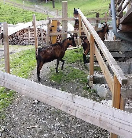 农家乐 Teglbauernhof, Huette, Chalet, Mobilheim, Appartement, Ferienwohnung, Pension, Urlaub 乌滕多夫