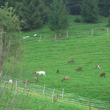 Agroturismo Teglbauernhof, Hütte, Chalet, Mobilheim, Appartement, Ferienwohnung, Pension, Urlaub Uttendorf