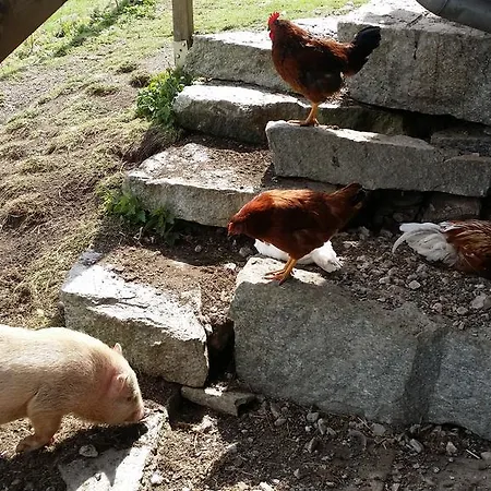 Teglbauernhof, Huette, Chalet, Mobilheim, Appartement, Ferienwohnung, Pension, Urlaub 乌滕多夫