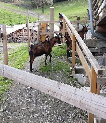 Farmház Teglbauernhof, Huette, Chalet, Mobilheim, Appartement, Ferienwohnung, Pension, Urlaub Uttendorf