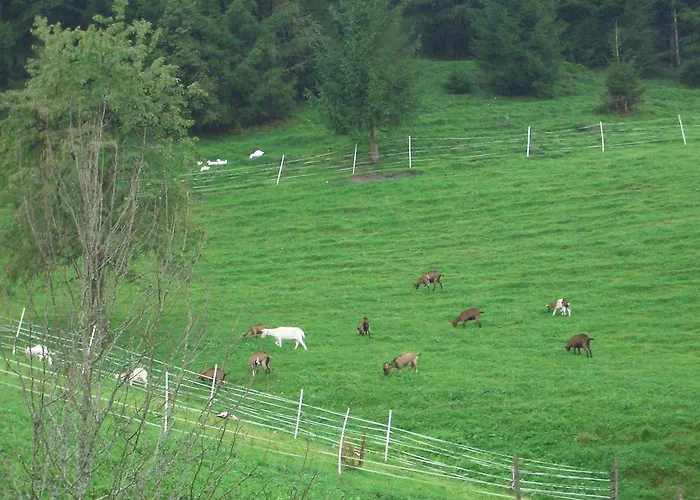 Farmház Teglbauernhof, Huette, Chalet, Mobilheim, Appartement, Ferienwohnung, Pension, Urlaub Uttendorf