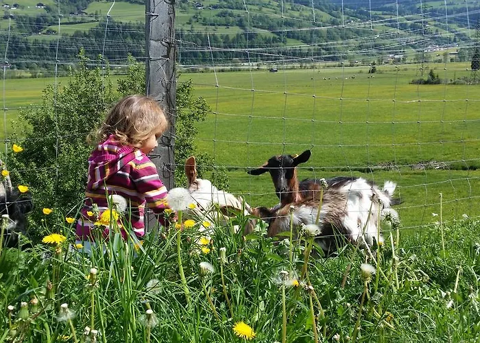Teglbauernhof, Huette, Chalet, Mobilheim, Appartement, Ferienwohnung, Pension, Urlaub * Uttendorf